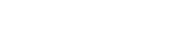 WBS Consulting
